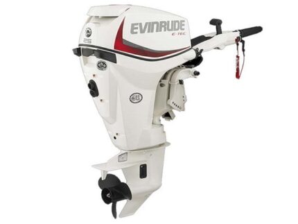 2018 Evinrude E-TEC 25 HP E25DTSL Outboard Motor